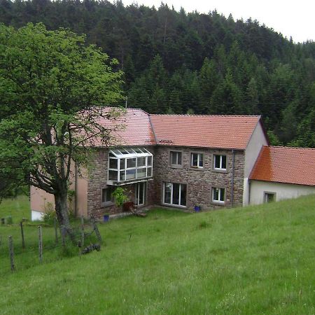 Gite Hansel De La Ferme Du Schneeberg Wangenbourg-Engenthal Exteriér fotografie