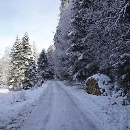 Gite Hansel De La Ferme Du Schneeberg Wangenbourg-Engenthal Exteriér fotografie