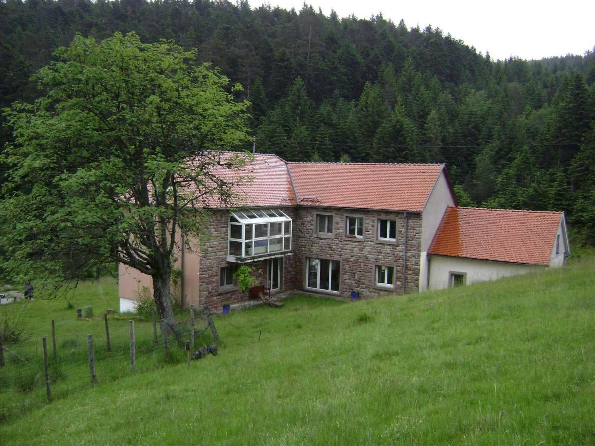Gite Hansel De La Ferme Du Schneeberg Wangenbourg-Engenthal Exteriér fotografie