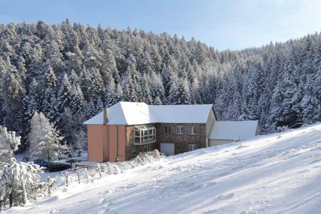 Gite Hansel De La Ferme Du Schneeberg Wangenbourg-Engenthal Exteriér fotografie